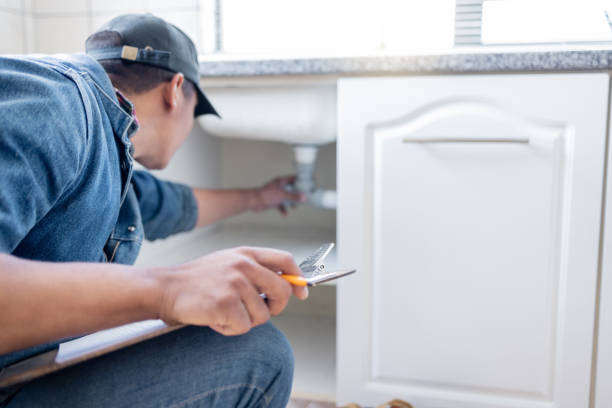 Best Affordable Plumbing Services  in Westlake Vlage, IL