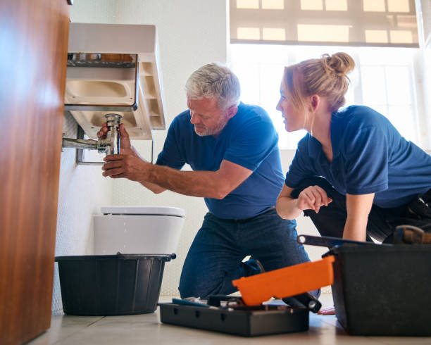 Best Plumbing Services Near Me  in Westlake Vlage, IL
